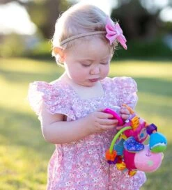 Playgro Clip Clop Rammelaar - Roze - Activiteitenspeeltje - Kraamkado -Winkel voor babyproducten 1086x1200 6