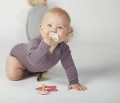 Bibs Fopspeen 3 Stuks 0-6 Maanden | Blush, Blush Glow In The Dark, Ivory White| Maat 1 | 4 Bibs Fopspeen 3 Stuks 0-6 Maanden | Blush, Blush Glow In The Dark, Ivory White| Maat 1 | -Winkel voor babyproducten 1200x1024 1