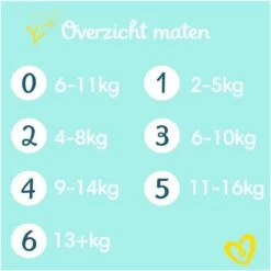 Pampers® Pampers Premium Protection - Maat 2 (4kg - 8kg) - 240 Luiers - Maandbox -Winkel voor babyproducten 1200x1200 6