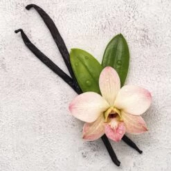 Disney Frozen Frozen Ll - Geurset - Parfum 50ml + Douche Gel 100ml - Cadeautip! 4 Disney Frozen Frozen Ll - Geurset - Parfum 50ml + Douche Gel 100ml - Cadeautip! -Winkel voor babyproducten 1200x1200 612