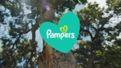 Pampers® Pampers Baby-Dry Luiers - Maat 5+ (12-17 Kg) - 132 Stuks - Multi-Pack 15 Pampers® Pampers Baby-Dry Luiers - Maat 5+ (12-17 Kg) - 132 Stuks - Multi-Pack -Winkel voor babyproducten 1200x675 6