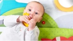 Tiny Love Supermat Speelmat - Meadow Days 6 Tiny Love Supermat Speelmat - Meadow Days -Winkel voor babyproducten 1200x678 2