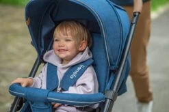 Lionelo Annet Plus - Kinderwagen 2in1 - Inklapsysteem - XXL Dakje - Tot 22 Kg -Winkel voor babyproducten 1200x798 16