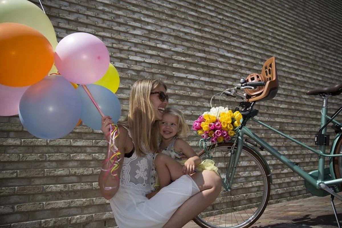 Bobike One Mini Fietsstoeltje Voor - Choc Brown Bobike One Mini Fietsstoeltje Voor - Choc Brown -Winkel voor babyproducten 1200x800 274