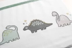 Briljant Baby Laken Met Bies Voor Ledikant 100 X 150 - Dino - Groen -Winkel voor babyproducten 1200x800 343