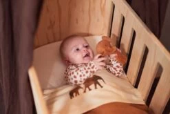 Jollein Baby Hoeslaken Ledikant Jersey 60x120cm - Ivory - 2 Stuks -Winkel voor babyproducten 1200x800 365