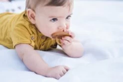 Dupini 100% Natuurrubber Speen/fopspeen - Round Maat L -Winkel voor babyproducten 1200x801 18