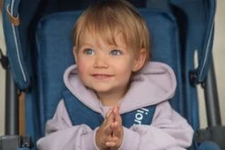 Lionelo Annet Plus - Kinderwagen 2in1 - Inklapsysteem - XXL Dakje - Tot 22 Kg -Winkel voor babyproducten 1200x801 25