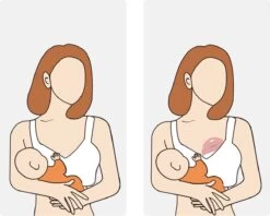 Youha® POD - Lekschaal - Moedermelk Opvangcup - Melkcollector - Draagbare Cup - Handen Vrij - Moedermelk Opvangen - Borstschelp - Opvangcup Voor Moedermelk - BPA Vrij - 120ML Opvangcup -Winkel voor babyproducten 1200x960 9