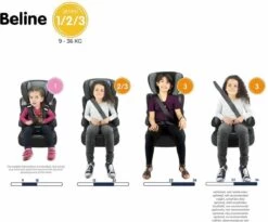 Nania - Autostoel BELINE Animals - Groep 1/2/3 - Meegroeistoel - Van 9 Tot 36 Kg - FLAMINGO -Winkel voor babyproducten 1200x995 3