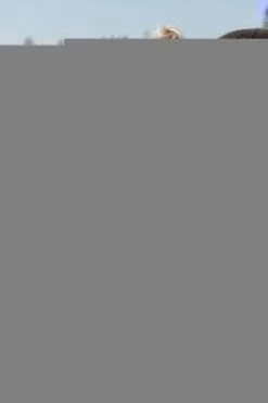 Baby's Only Voetenzak Buggy - Buggyzak Classic - Zand - Geschikt Voor 3-puntsgordel -Winkel voor babyproducten 800x1200 156